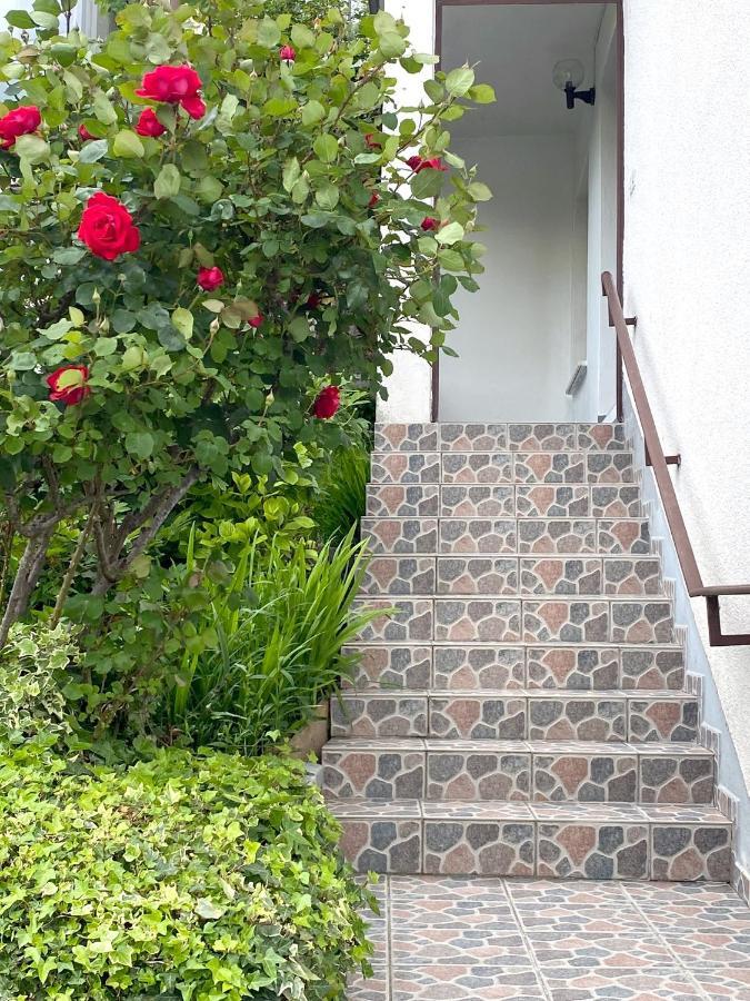 Apartment Loyd, Tolmin - Most na Soči Dış mekan fotoğraf